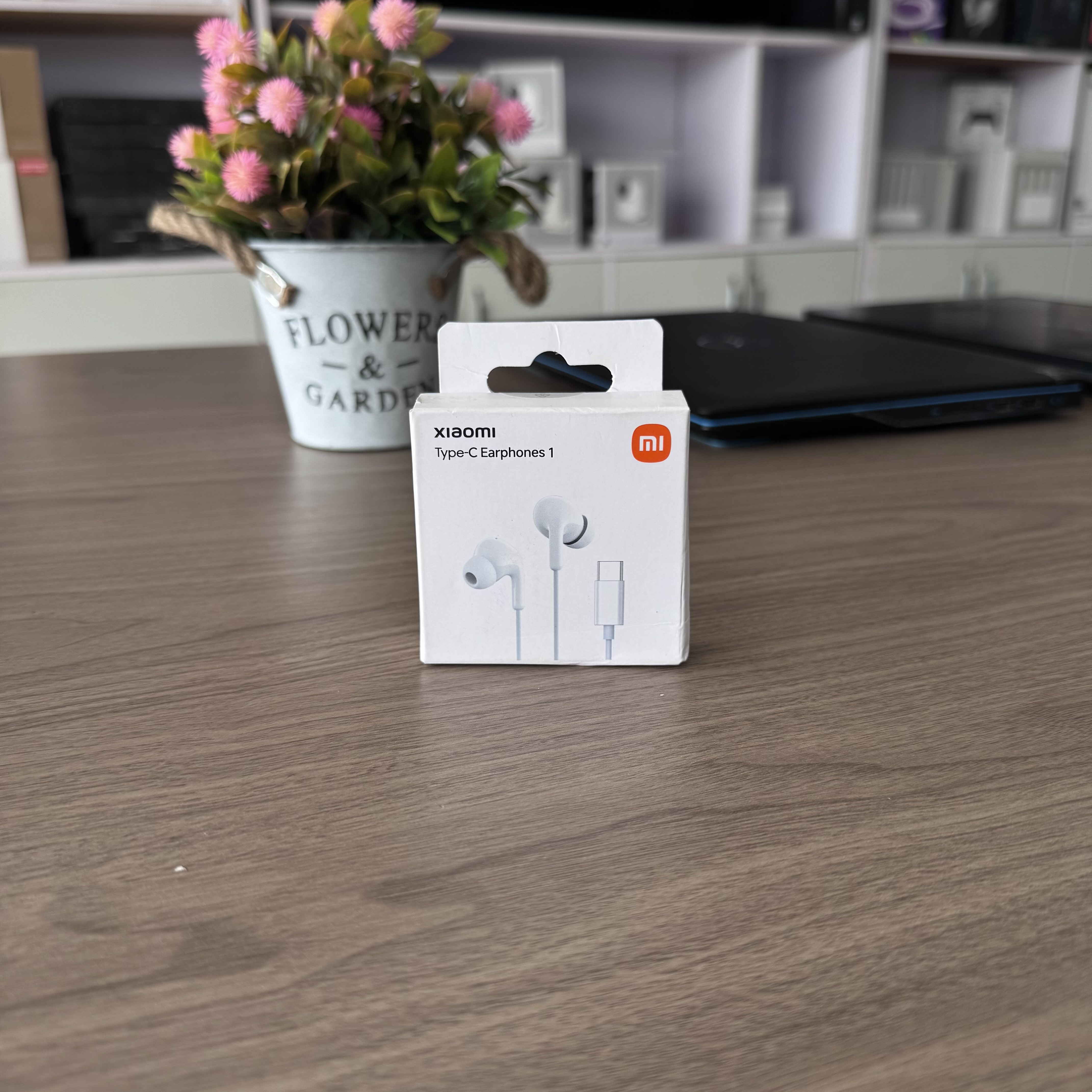 Xiaomi Type-C Earphones
