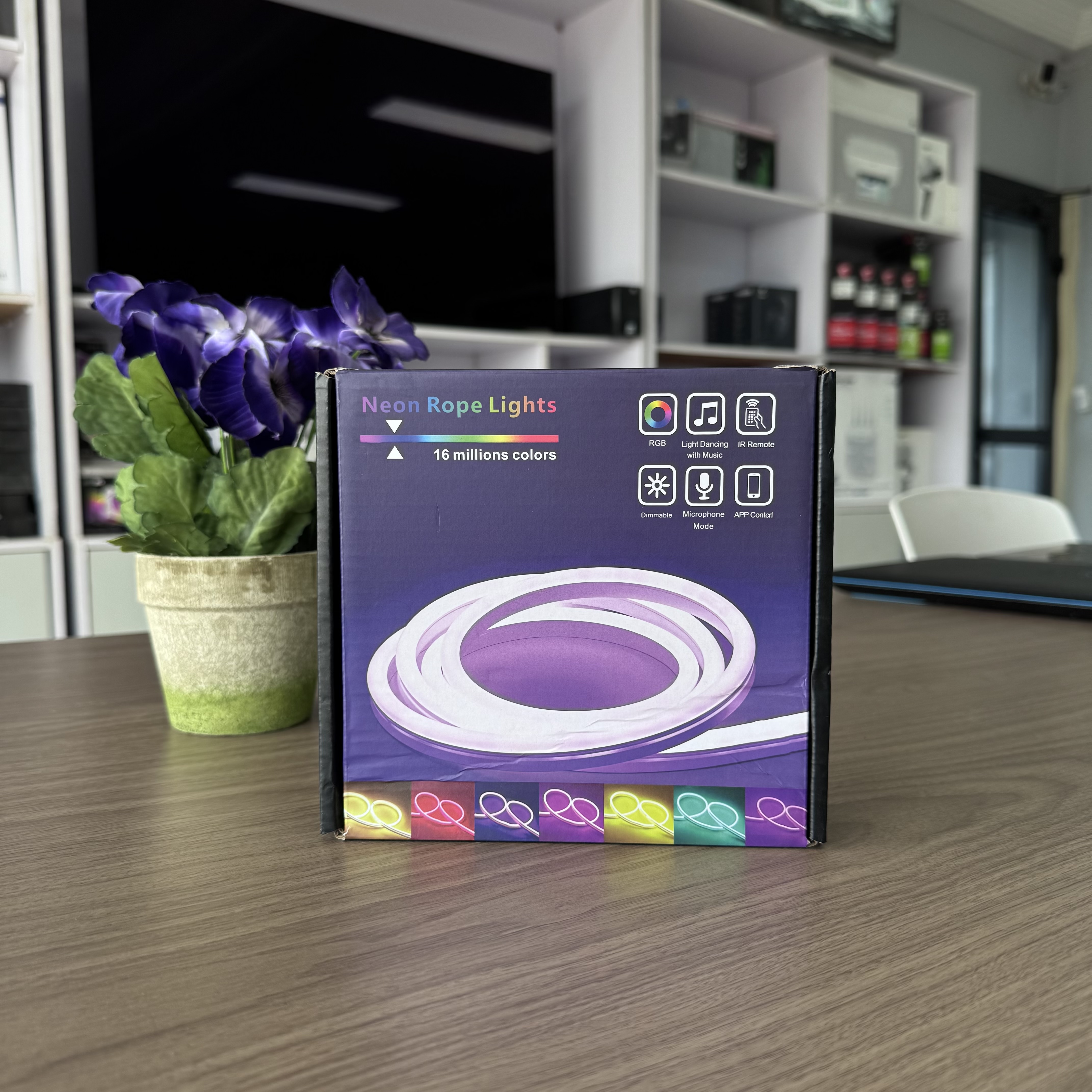 Neon Rope Lights (Bande LED Néon RGB)