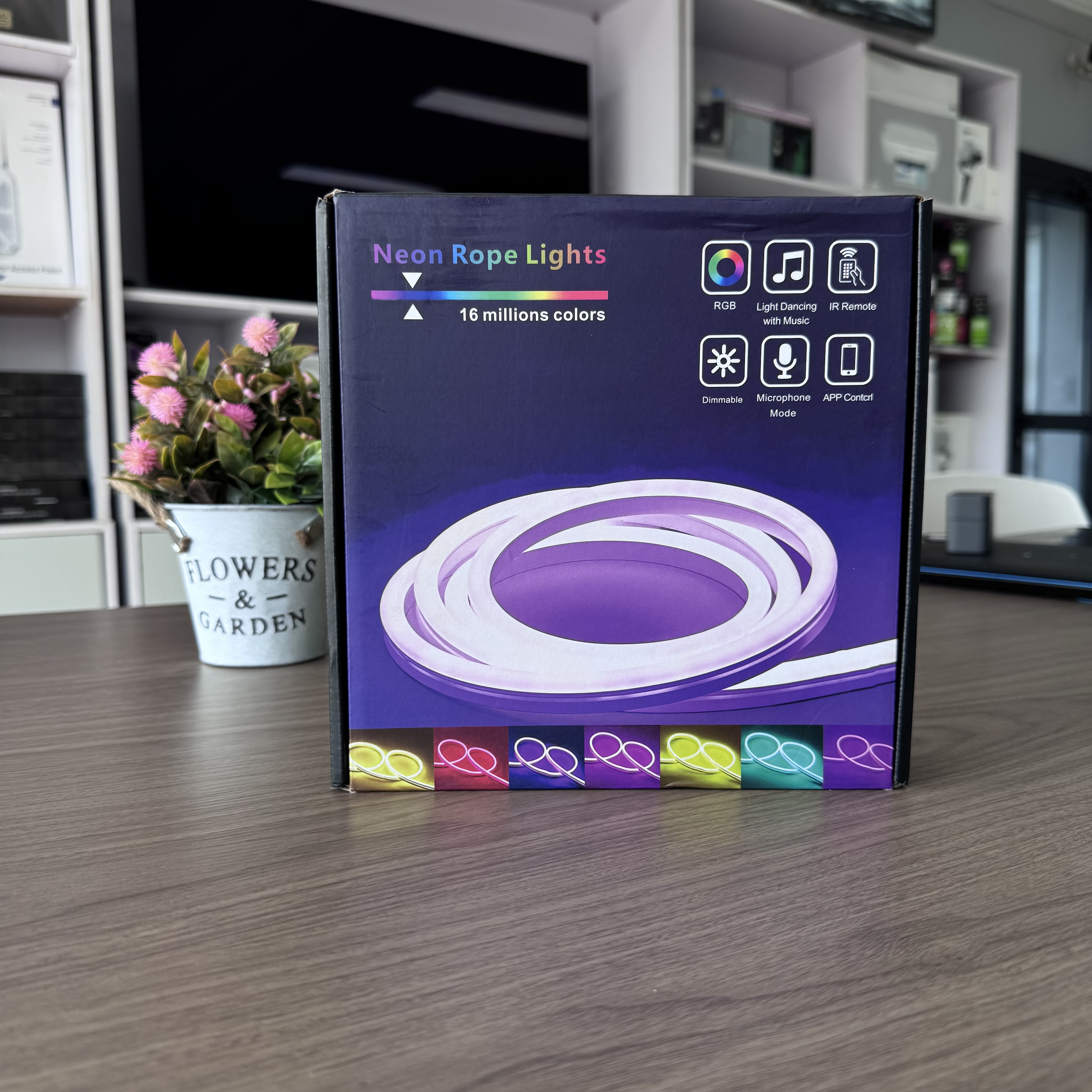 Neon Rope Lights (Bande LED Néon RGB)