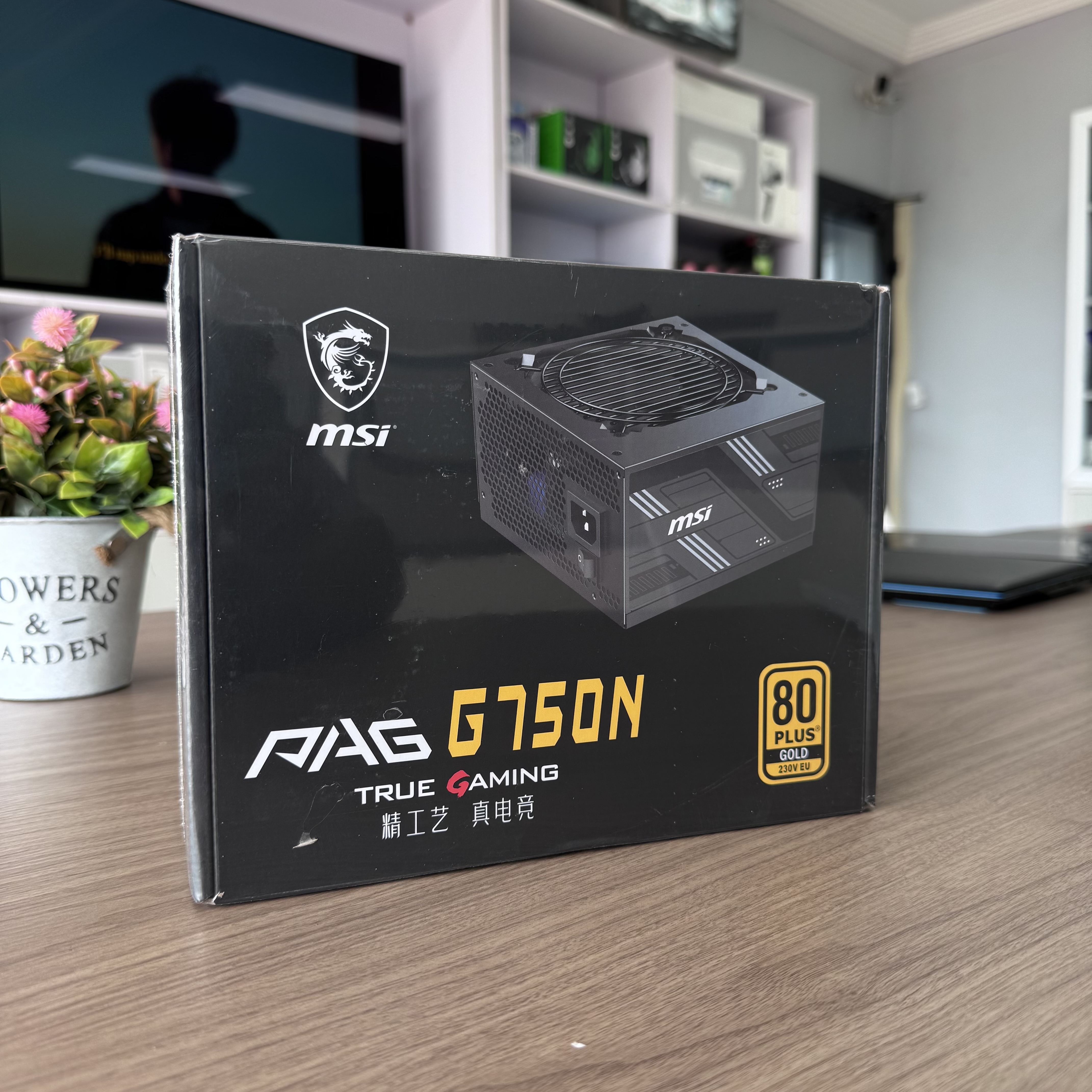MSI PAG G750N (Alimentation PC 750W)